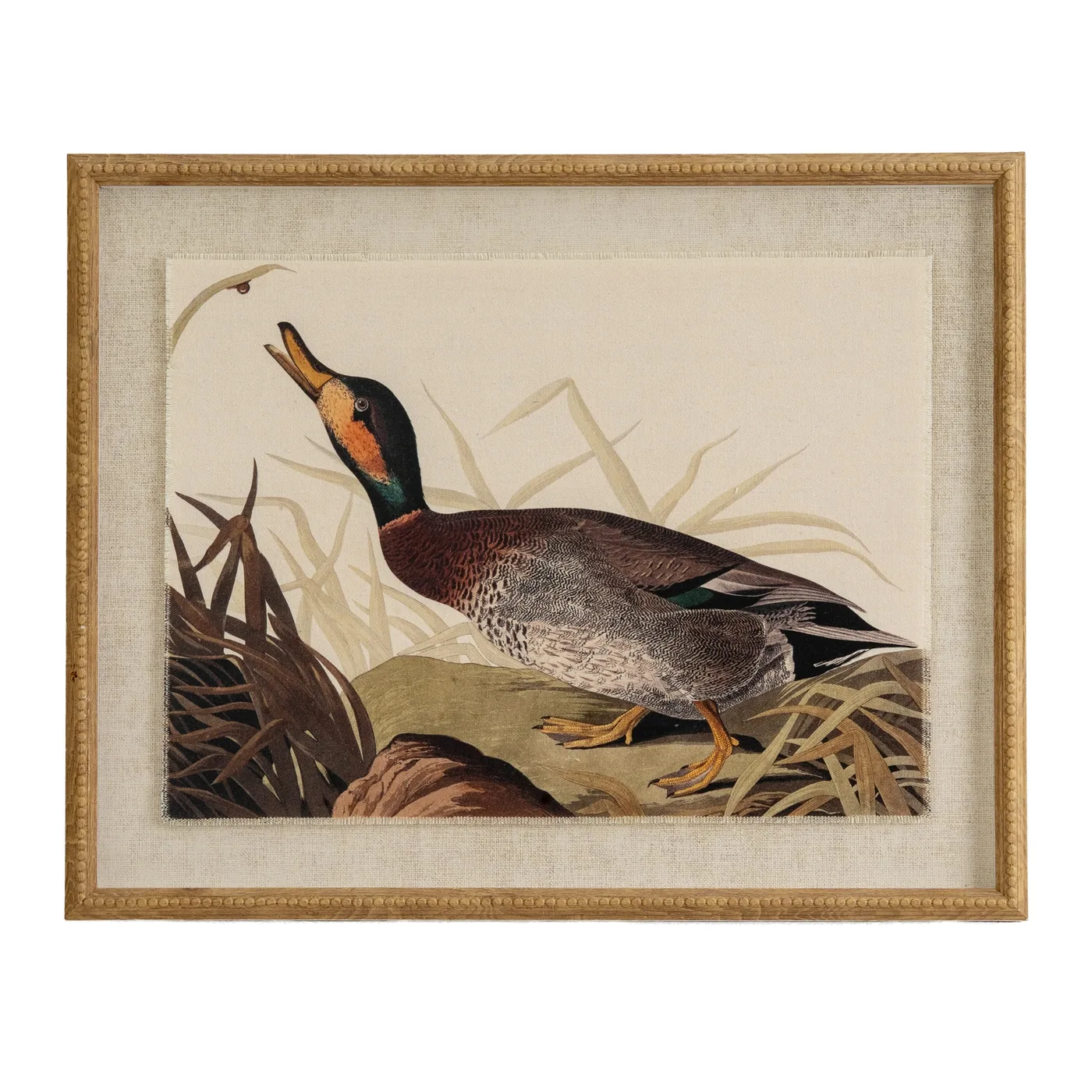 Decor material and finish reference for Flora & Fauna Collection Duck On Linen In Beaded Frame