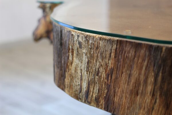 Oak slice with glass coffee table