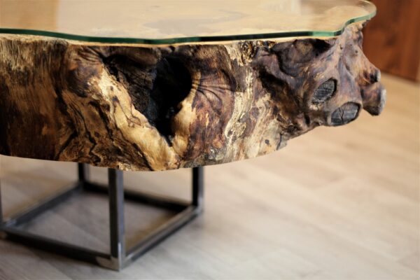 Oak slice with glass coffee table